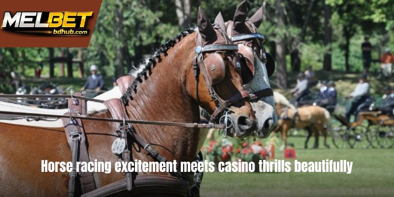 Horse racing excitement meets casino thrills beautifully
